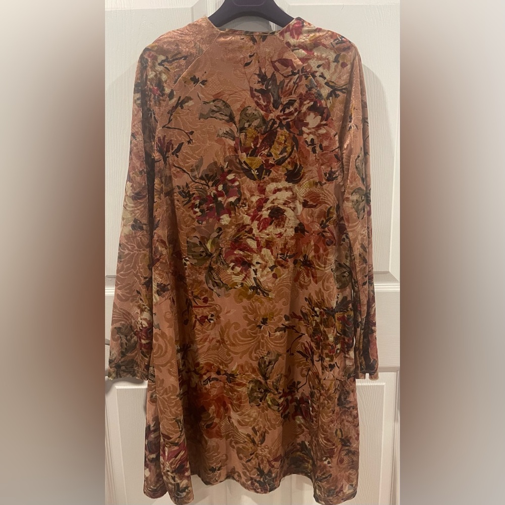 Rinascimento Floral velvet Long Sleeve Dress 
Sheer dress with slip medium